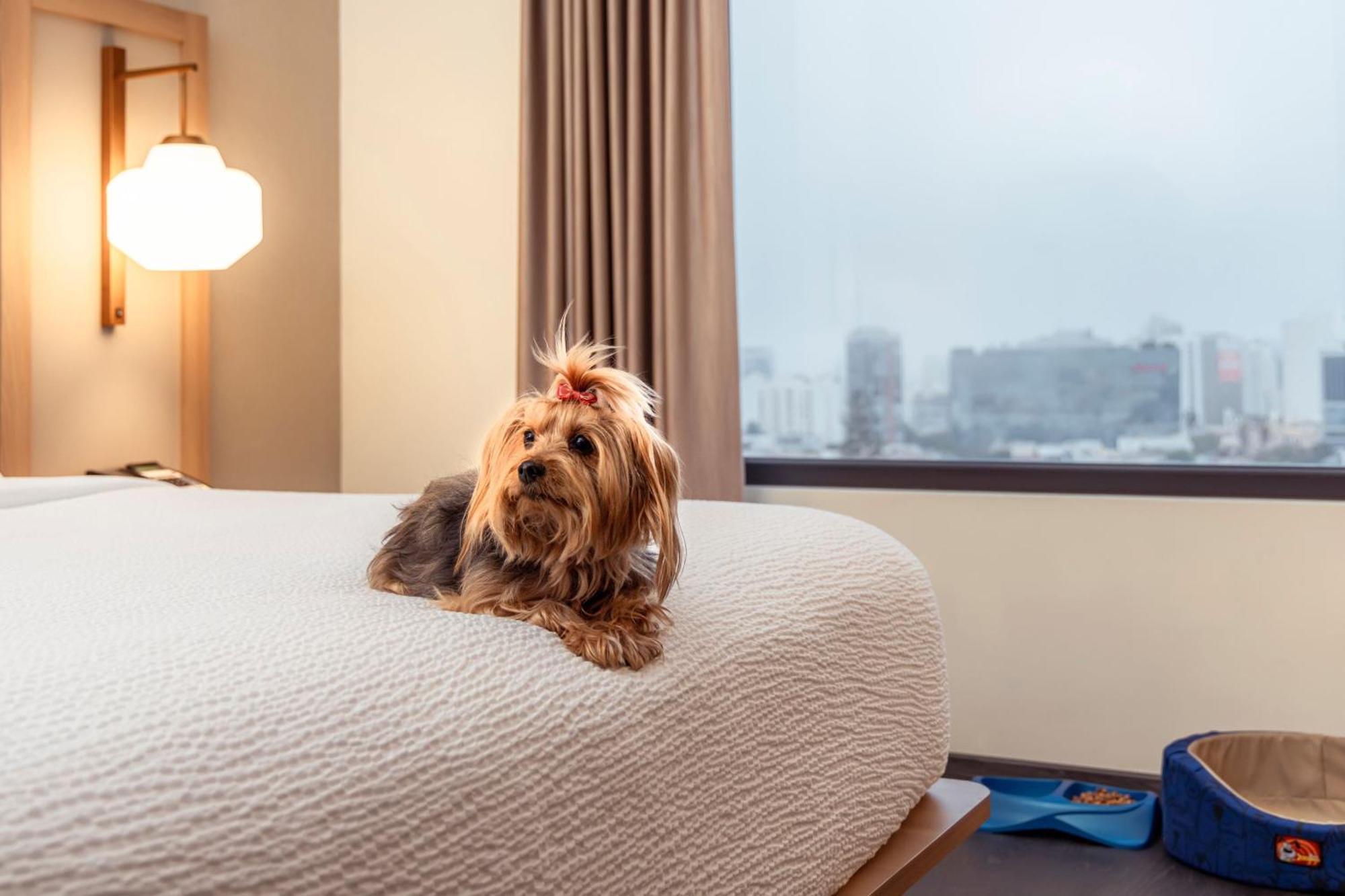 Fairfield By Marriott Miraflores 3*